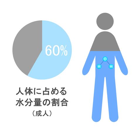 水分計 体|人間の体内水分量はどのくらい？体水分率がわかる体 .